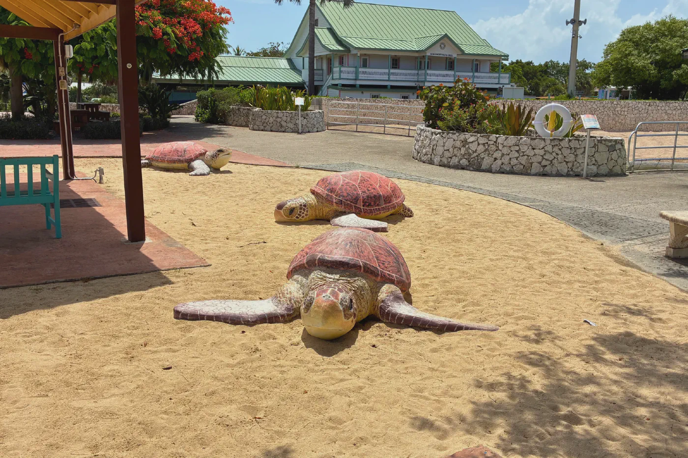 グランドケイマン最終日 — Cayman Turtle Centre
